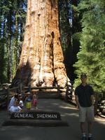 "General Sherman"